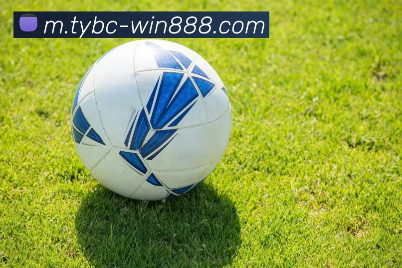 体育博彩全站App